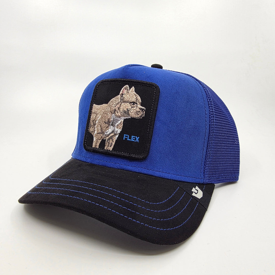 Goorin Bros Trucker Cap - Flex Pit Bull