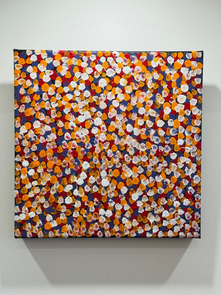 Kate Pitjara - Bush Plum