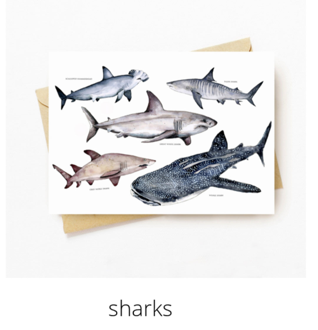 Gift Cards - Shantele Ianna