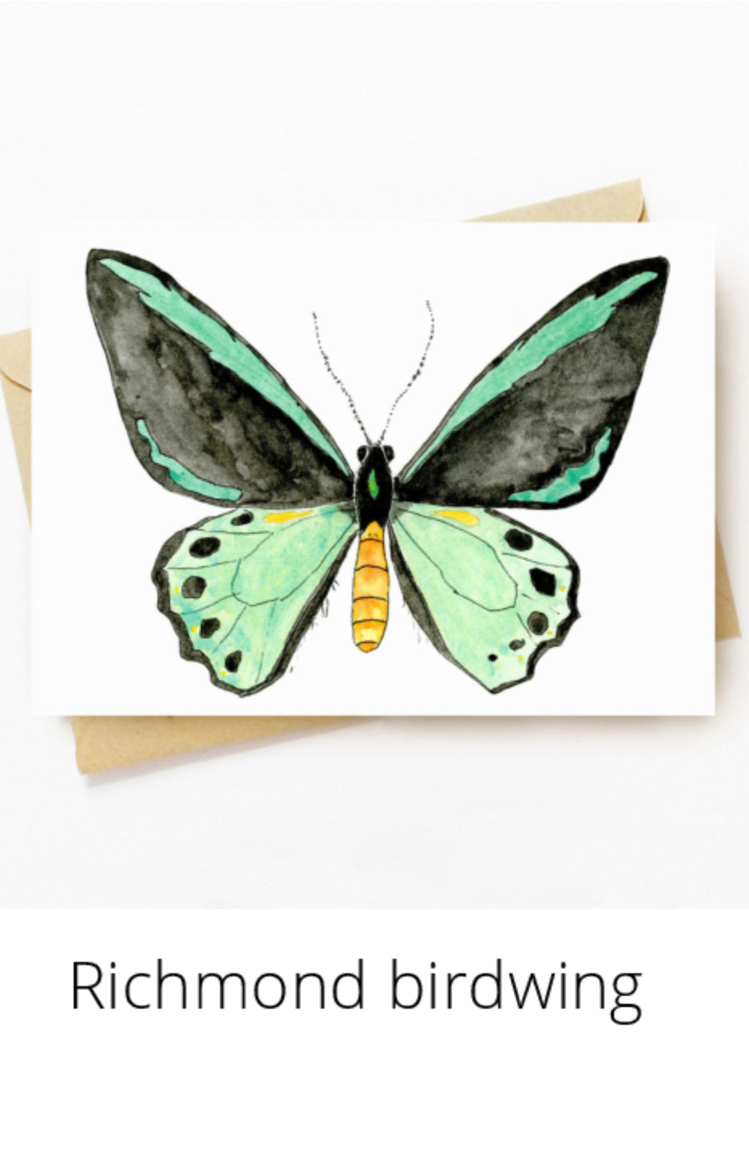 Gift Cards - Shantele Ianna
