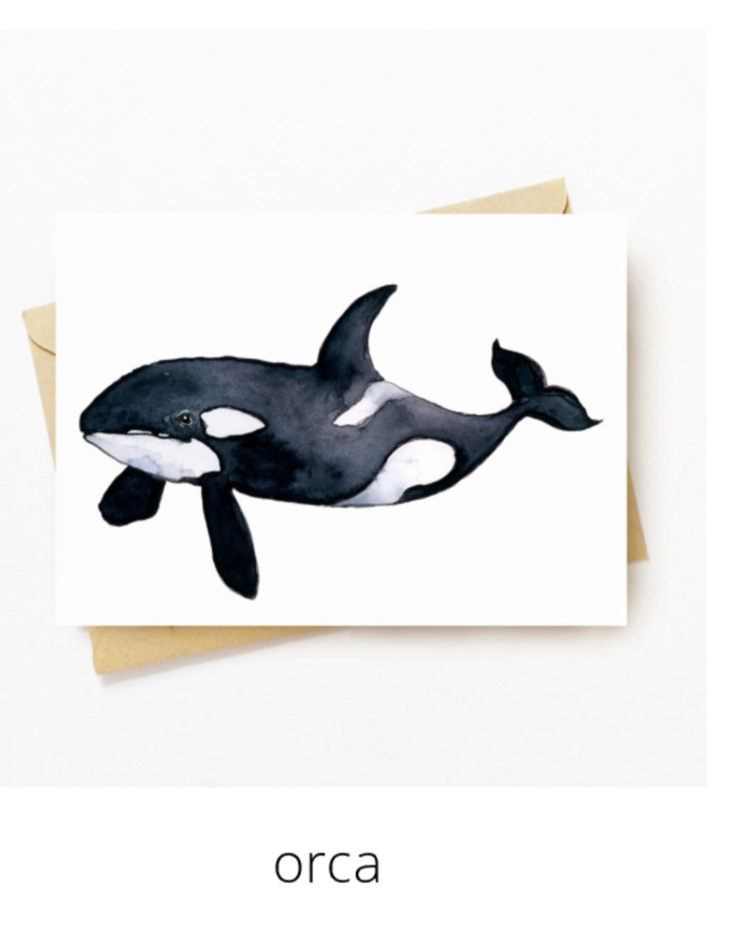 Gift Cards - Shantele Ianna