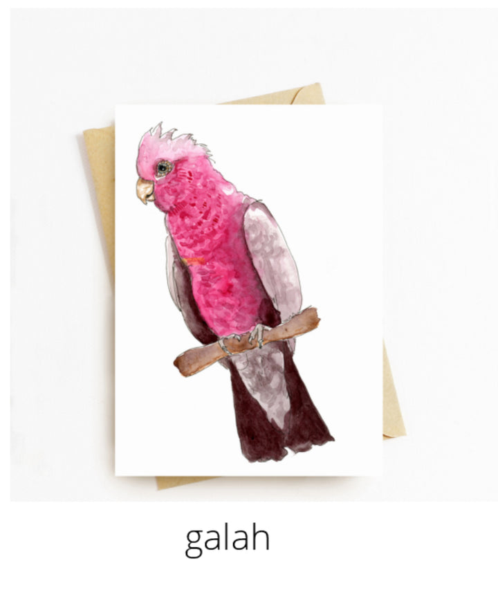 Gift Cards - Shantele Ianna