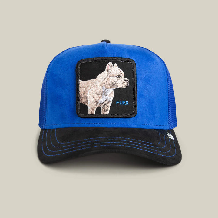 Goorin Bros Trucker Cap - Flex Pit Bull