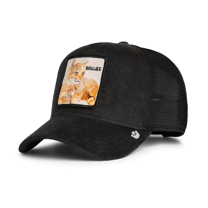 Goorin Bros - Boujee - Terry Cloth Cat