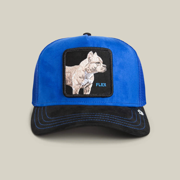 Goorin Bros Trucker Cap - Suede Pit Bull