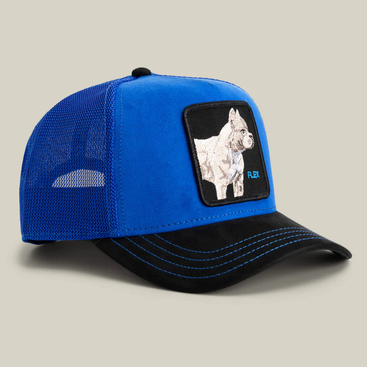 Goorin Bros Trucker Cap - Suede Pit Bull