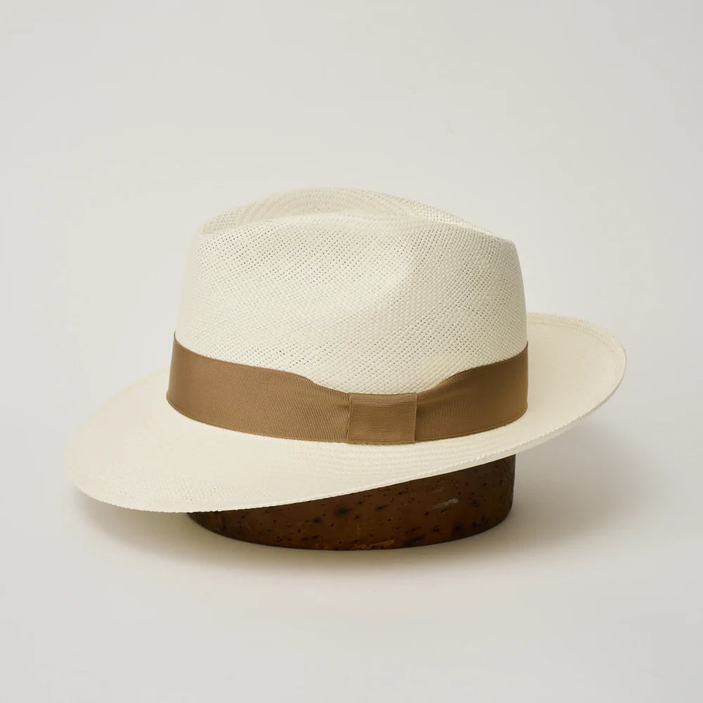 Camilo Panama - New Fedora