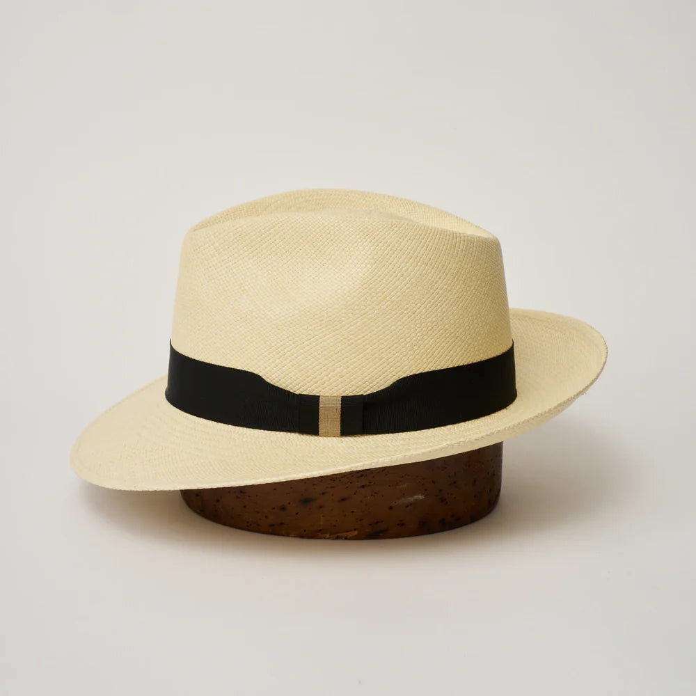 Camilo Panama - New Fedora