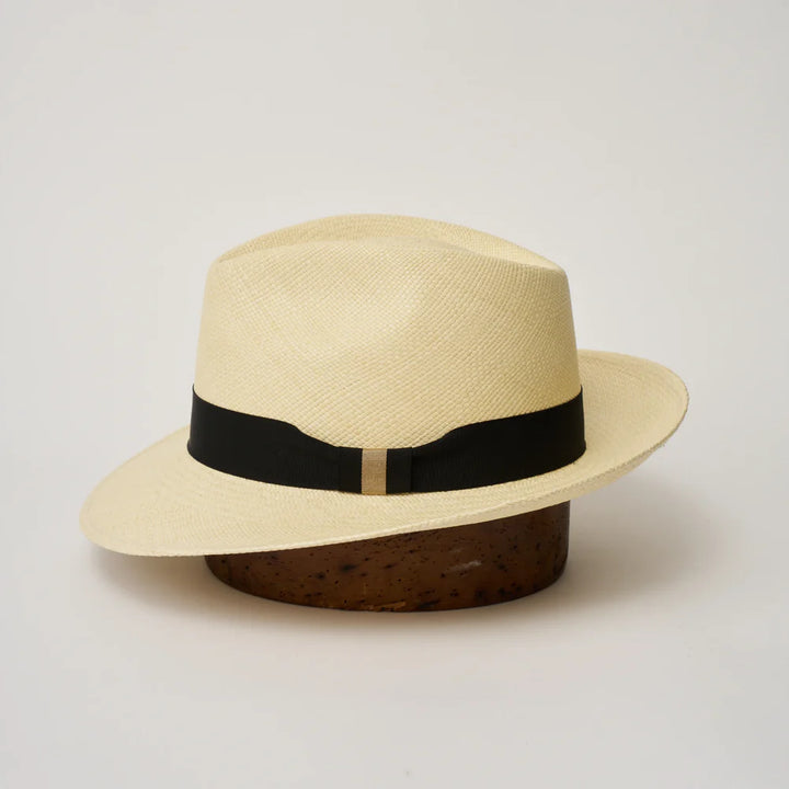 Camilo Panama - New Fedora