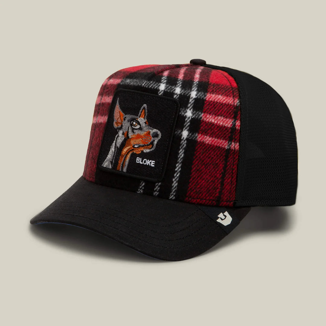 Goorin Bros Trucker Cap - Brit Boke