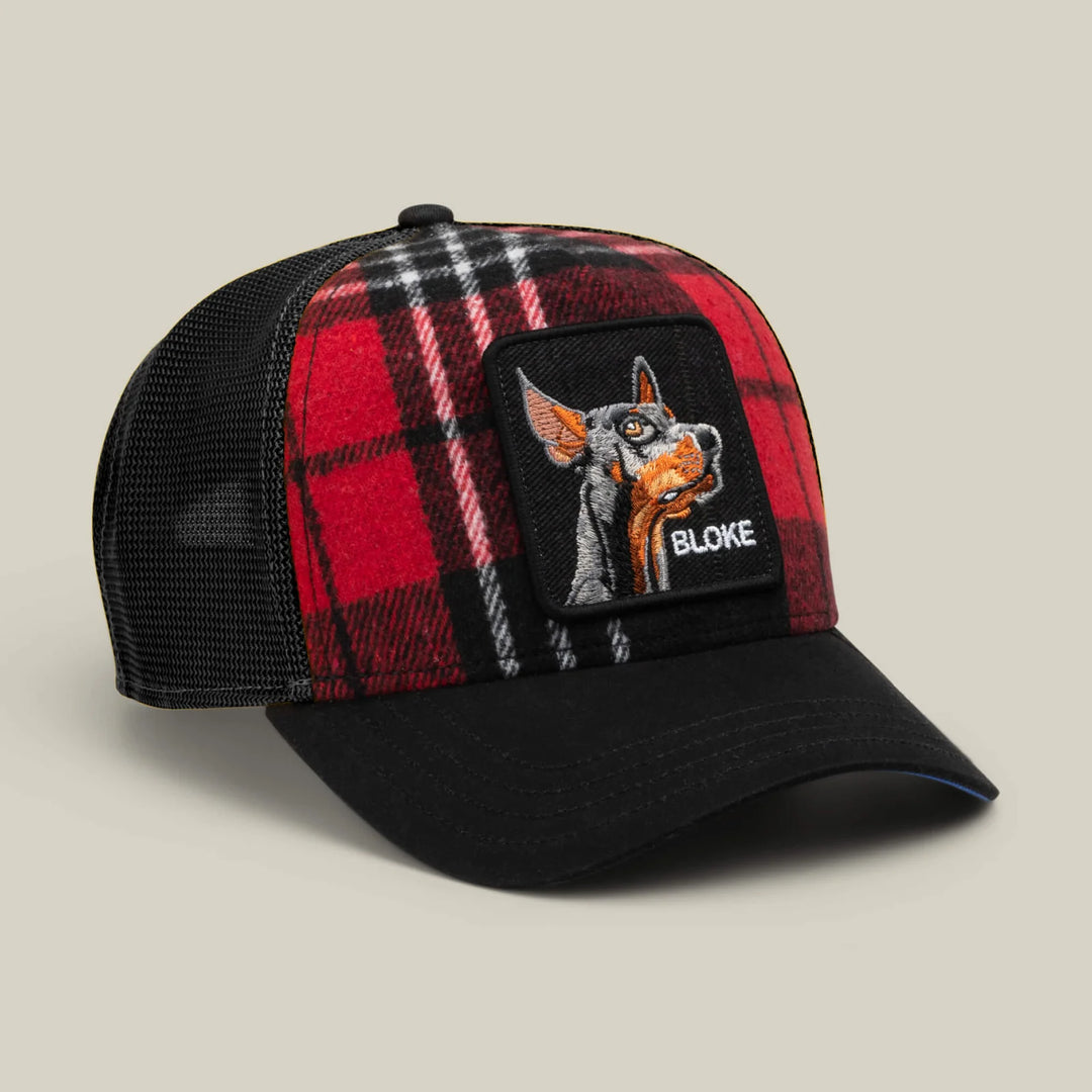 Goorin Bros Trucker Cap - Brit Boke