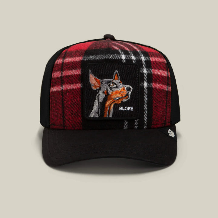 Goorin Bros Trucker Cap - Brit Boke