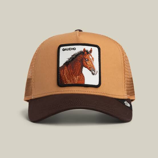 Goorin Bros Trucker Cap - Gaucho