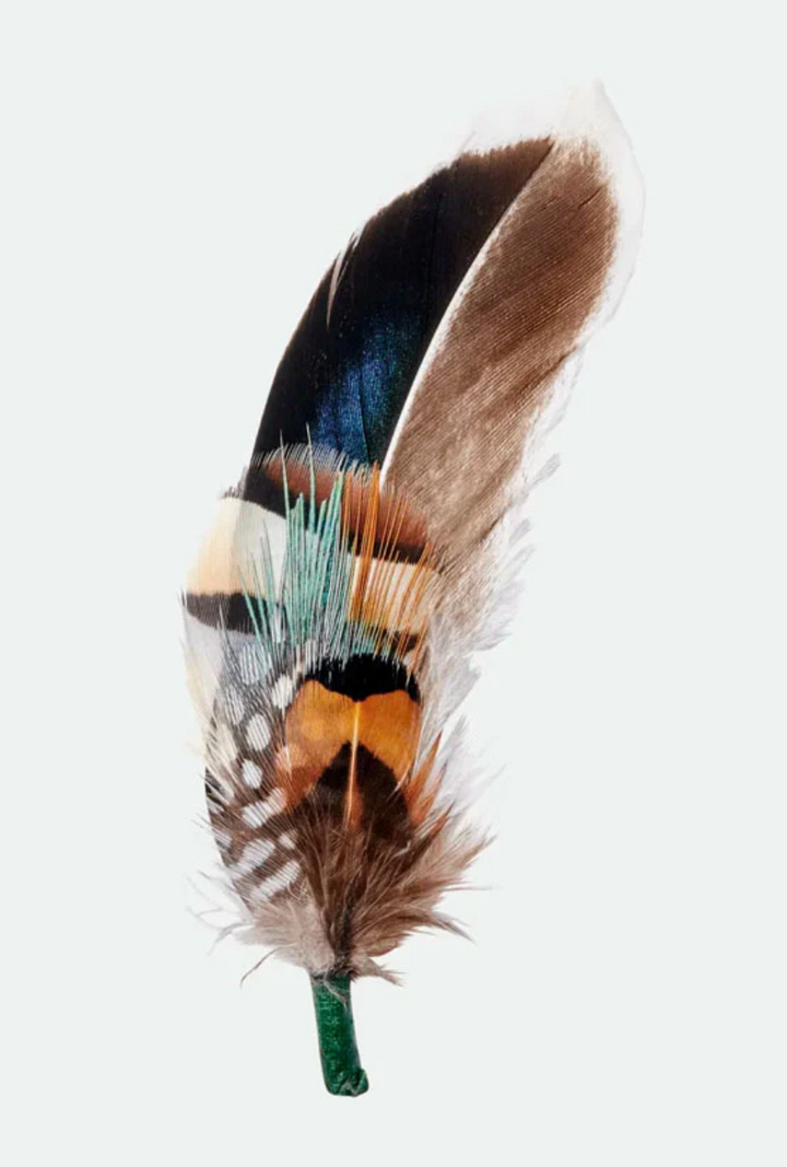 Brixton Hat Feather